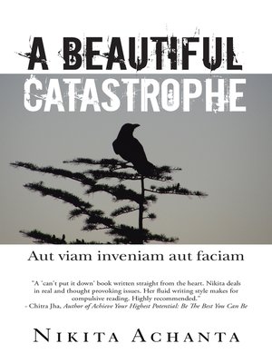 cover image of A Beautiful Catastrophe